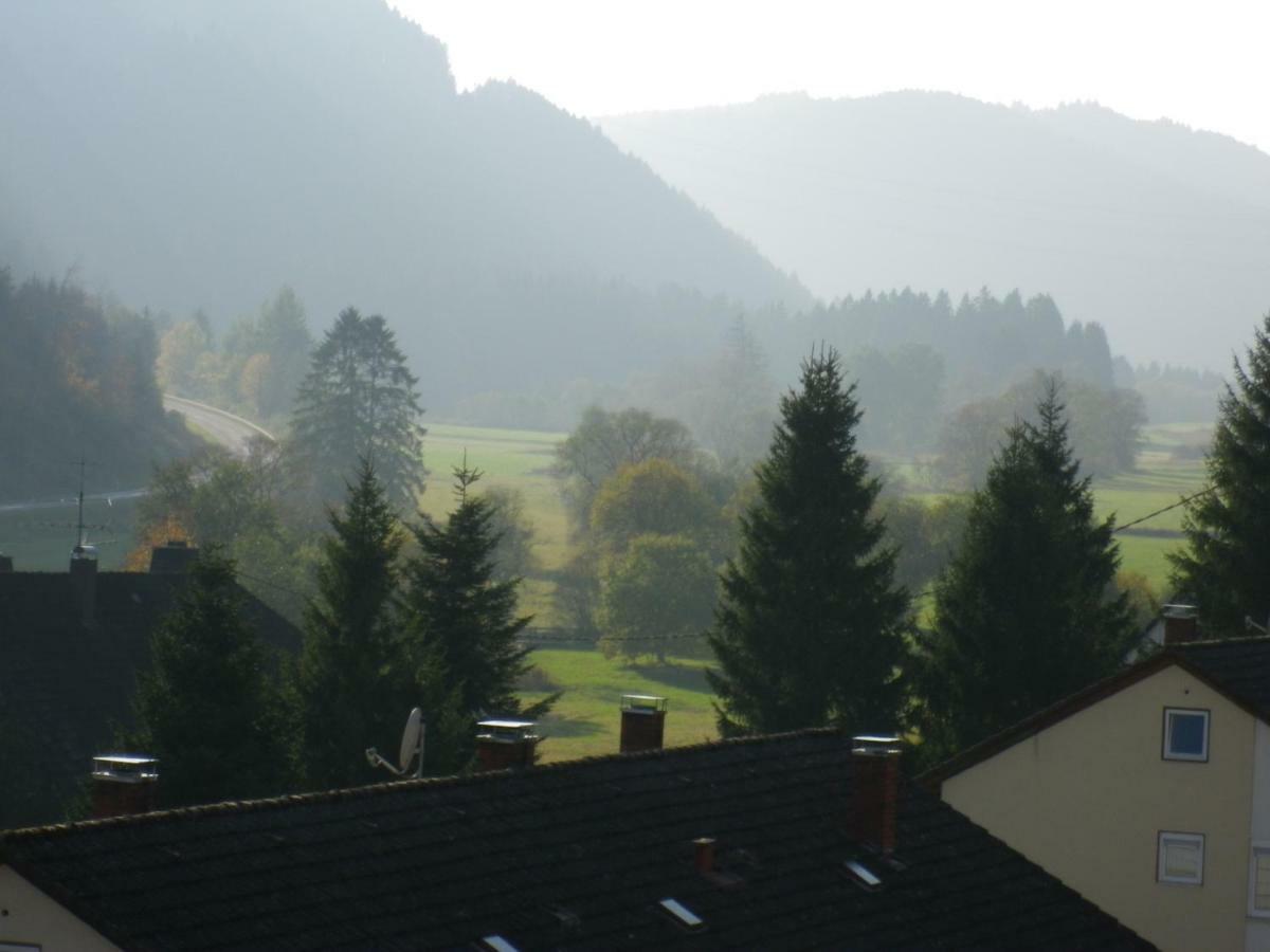 Ferienwohnung Urseetalblick WG 7 Lenzkirch Exterior foto